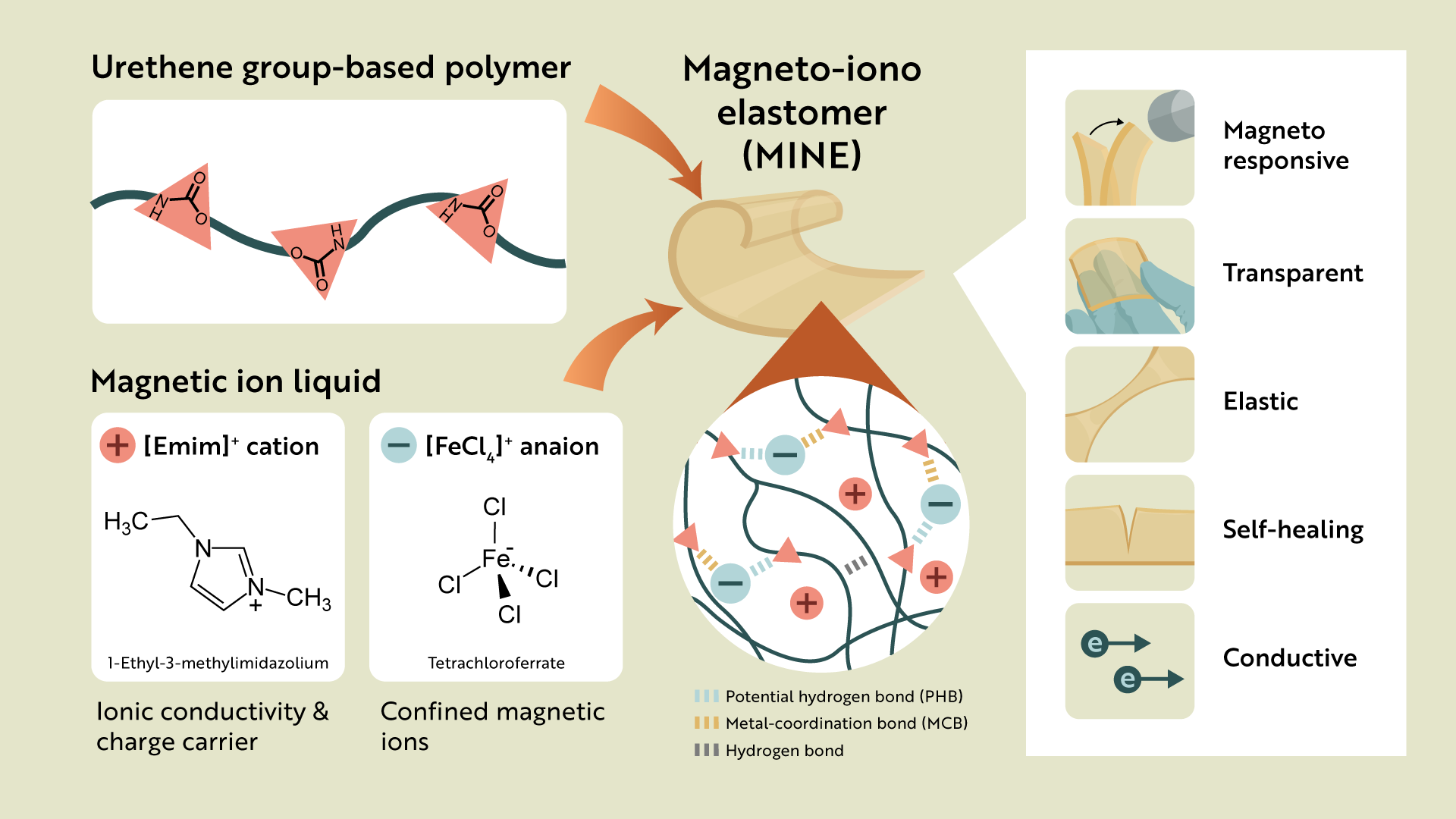 Tan_illustrations_01_v02