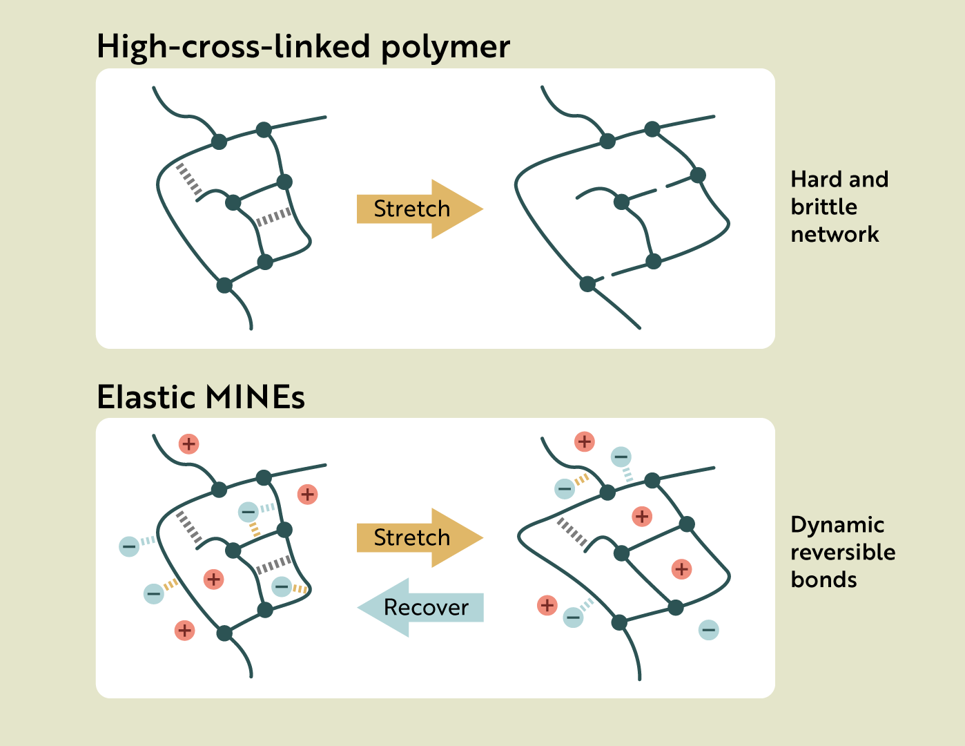 Tan_illustrations_02_v01