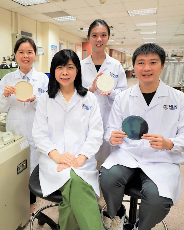 ultrathin inorganic membrane