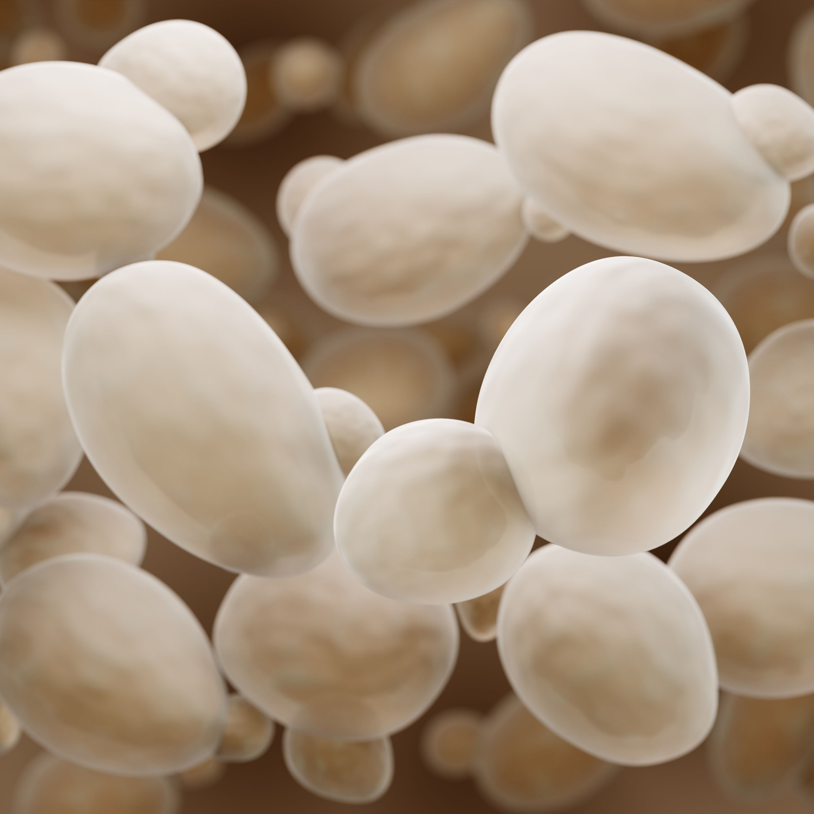 yeast microfactories