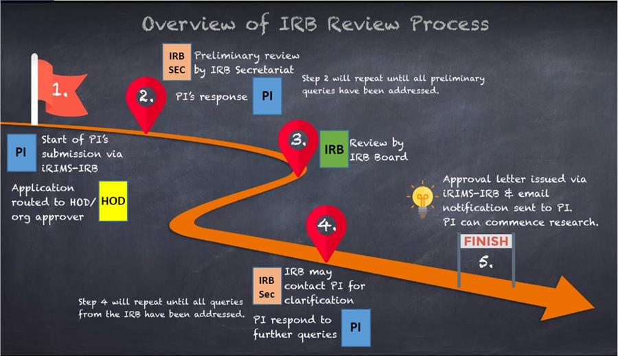 review process (revised) 2